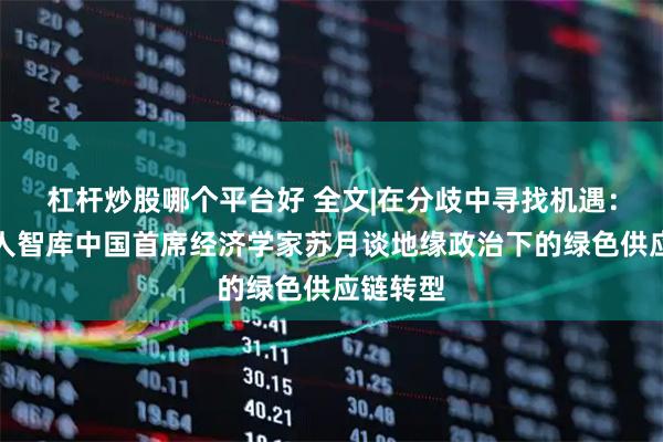 杠杆炒股哪个平台好 全文|在分歧中寻找机遇：经济学人智库中国首席经济学家苏月谈地缘政治下的绿色供应链转型